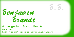 benjamin brandt business card